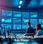 LinkedIn Makes Workplace Skills Easier To Showcase